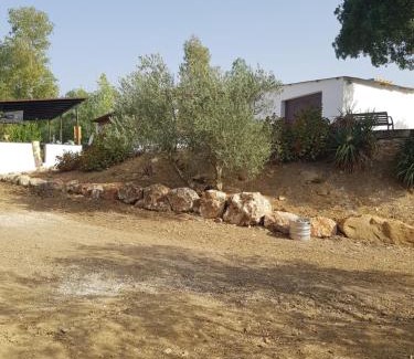 Casarabonela House | Amandolas