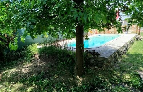 Tandil House | Amaryllis