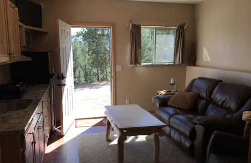 Divide Apartment | Amazing secluded apartment on 27 acres with Pikes Peak view