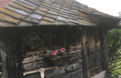 Zlatibor Other | Ambar