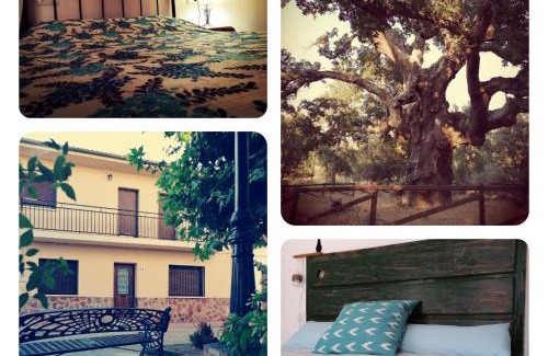 Aldeanueva del Camino House | Ambroz y Plata