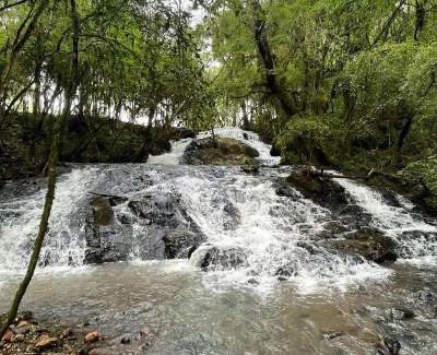 Capinzal House | American Bus Glamping - Capinzal/SC