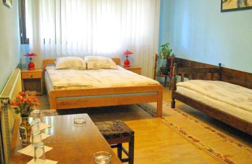 Dimitrovgrad Bed & Breakfast | Amfora Rooms Caribrod