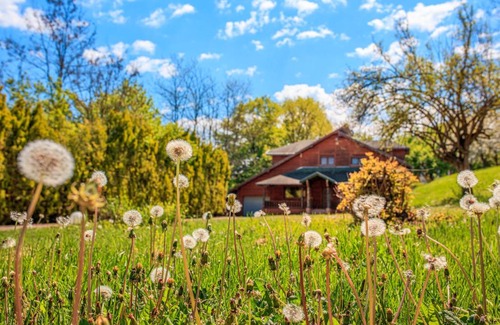 Central Serbia House | Amigosranch