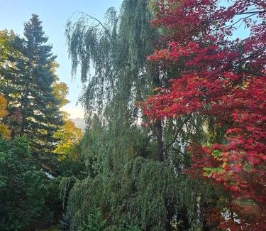 Saint-Sauveur Bed & Breakfast | Amis des Laurentides