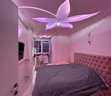 Tirana Apartment | Amla's House