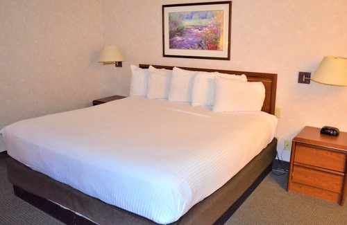 South Richland Condo | Amon Park Studios - the best option for your extended stay
