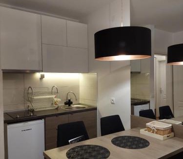 Vrnjacka Banja Apartment | Amor