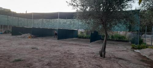 Himare Other | Ampelonas camping