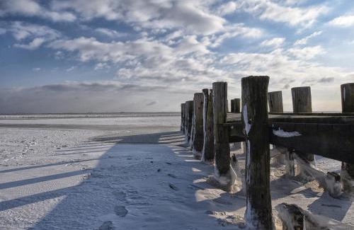 Wyk auf Foehr Apartment | Amrum