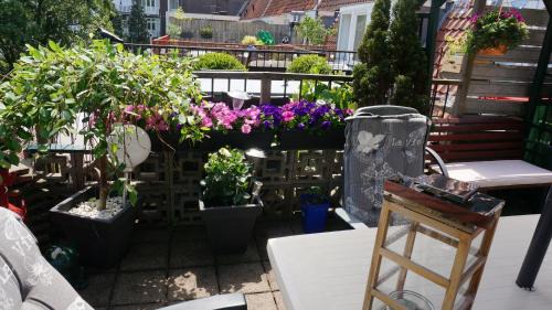 Scheldebuurt Bed & Breakfast | Amsterdam Roof Terrace B&B