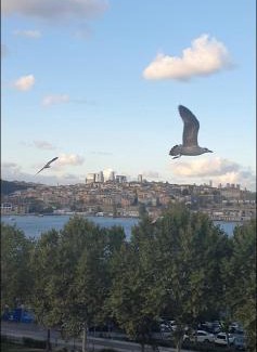 Istanbul City Center Apartment | an apartment near the sea