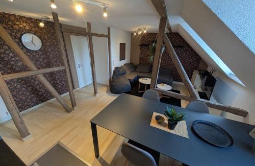 Meerane Apartment | an der steilen Wand 106 Meerane DG