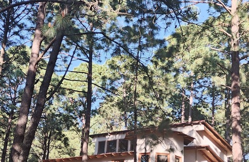 Mazamitla Cabin | Ana Paula Cabin Mazamitla, Jal. In the forest (2.5 km from the Municipal Plaza)