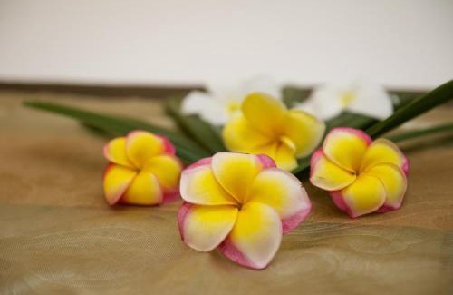 Legian Apartment | Anantara Vacation Club Legian