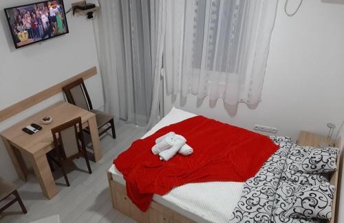 Banja Koviljaca Apartment | Andora