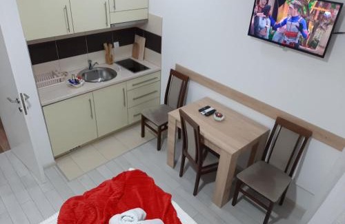 Banja Koviljaca Apartment | Andora