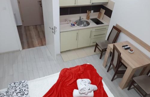 Banja Koviljaca Apartment | Andora