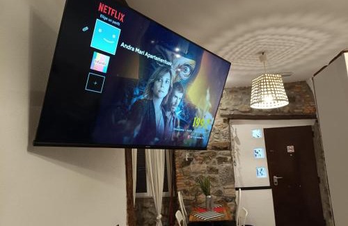 Bermeo Apartment | Andra Mari Apartamentu Turistikoak