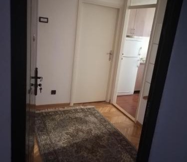 Vracar Apartment | Andreja apartman 2 (jednosobni app -50m2)