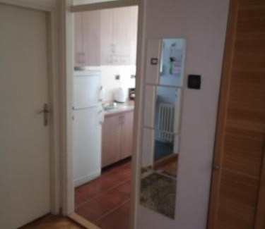 Vracar Apartment | Andreja apartman 2 (jednosobni app -50m2)