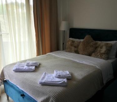 Lisina Apartment | Andromeda Apartment Residence Hill Kopaonik