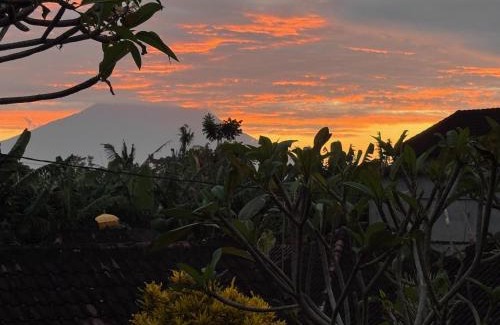 Mas House | Angel House Ubud Eco Villa