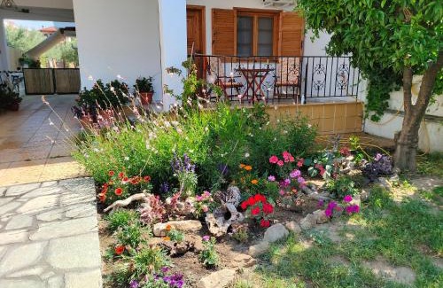Psakoudia Apartment | Anna's house 1