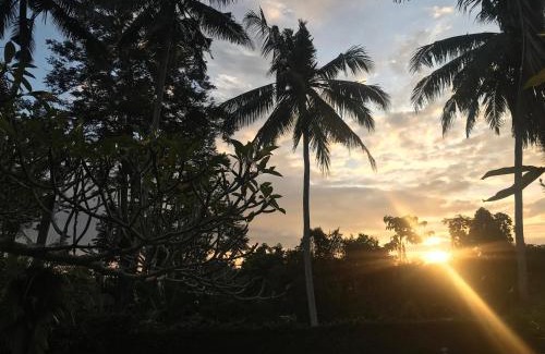 Kedewatan Bed & Breakfast | Anomcottages