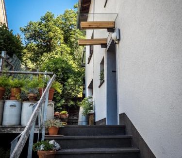 Pellenz Apartment | Antel 42