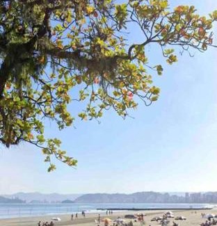 Ponta da Praia Apartment | Ap em frente ao aquário - ponta da praia