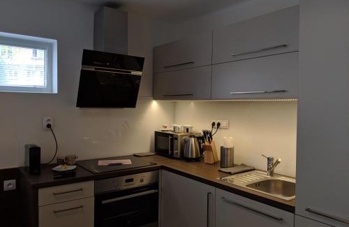 Hradec Kralove Apartment | AP10 - Apartments 4U Březinova "Overnight Simply"