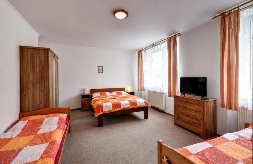 Rokytnice v Orlickych Horach Apartment | Apartmány u Adama