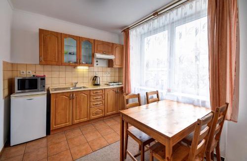 Rokytnice v Orlickych Horach Apartment | Apartmány u Adama