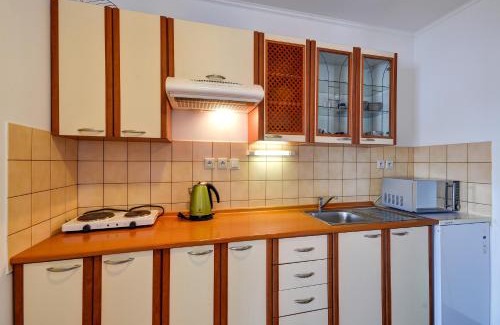 Rokytnice v Orlickych Horach Apartment | Apartmány u Adama