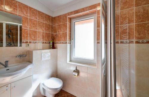 Rokytnice v Orlickych Horach Apartment | Apartmány u Adama