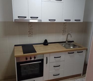 Kursumlija Apartment | Apartman Milosavljević