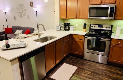 Central Business District Apartment | Apart Downtown 5min Stadium/Parks/Museum, 1 Bedroom, 1 Bath, FREE Parking, Wi-Fi