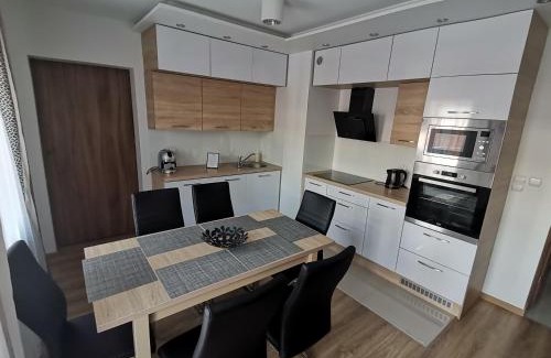 Srodmiescie Apartment | Apartament Dmowskiego - Kępa Mieszczańska