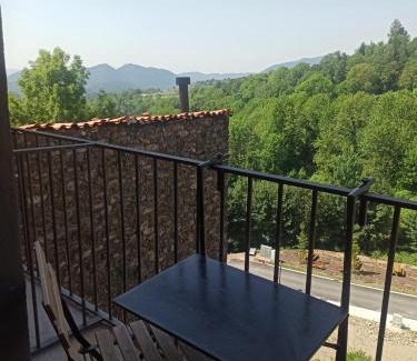 Mollo Apartment | Apartament FREIXE de Molló Parc