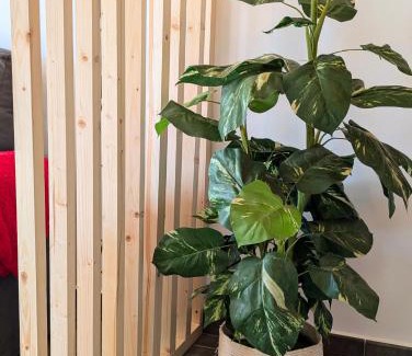 Tossa de Mar Apartment | Apartament Marina