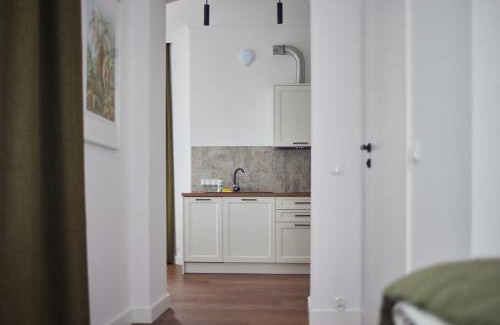 Ladek-Zdroj Apartment | Apartament Miła 2
