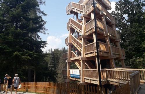 Głuchołazy Apartment | Apartament Pod Tężnią