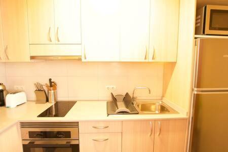 Puigcerda Apartment | Apartament Roma