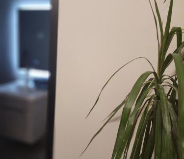 Tirana Apartment | Apartament Tirana Contact