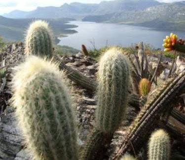 Lapinha da Serra Apartment | Apartamento 2 da praia de Mauricio Leão, Lapinha.