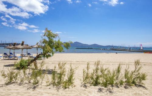 Puerto de Pollensa Apartment | Apartamento playa 2 Fassers piscina Port Pollensa