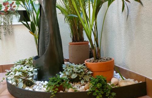 Pontevedra Apartment | Apartamento Ravachol Pontevedra ciudad