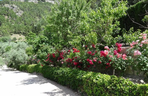 La Iruela Apartment | Apartamentos Arroyo Parrilla