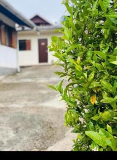 Monte Verde Apartment | Apartamentos Roncalli Monte Verde